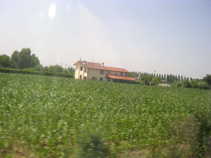 DSCN0956