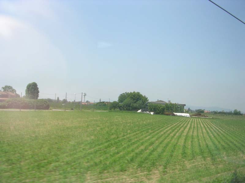 DSCN0957