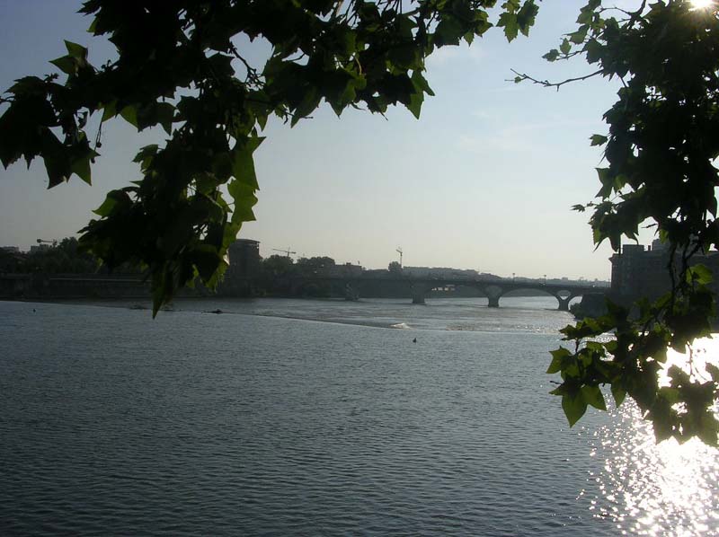 DSCN1006