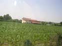 DSCN0956