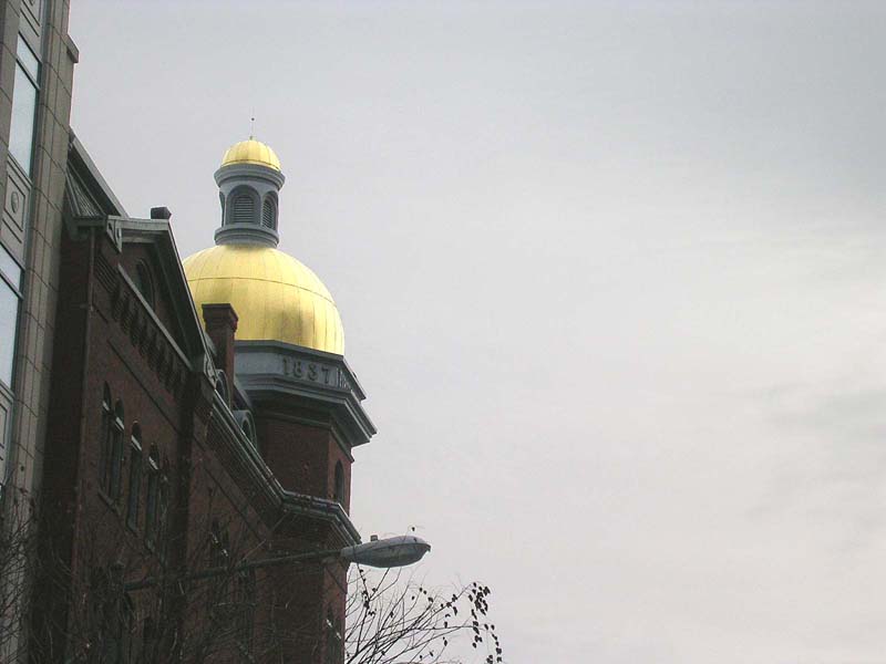 DSCN0203